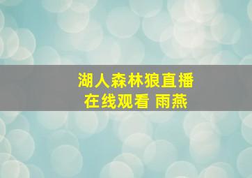 湖人森林狼直播在线观看 雨燕